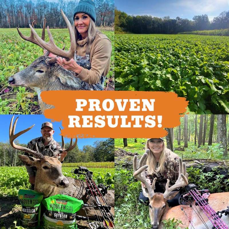 Whitetail Products Gone Wild, Screening Forage Sorghum Food Plot Seeds,