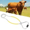 Cattle Bull Cow Nose Pliers Metal Punch Free Strong Traction
