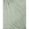 Wool and the Gang, The One Merino, Euclayptus Green, 50g,