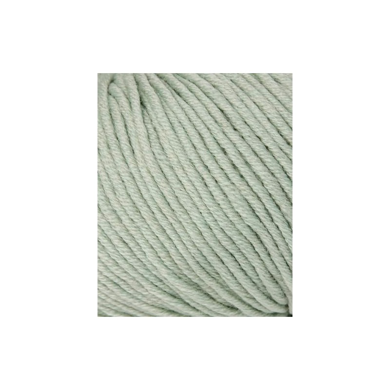 Wool and the Gang, The One Merino, Euclayptus Green, 50g,