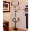 Skull Hooker Trophy Tree European Trophy Mount – Hang up