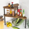 Weenson Kitchen Countertop Organizer Spice Rack for Salt, Bathroom Counter