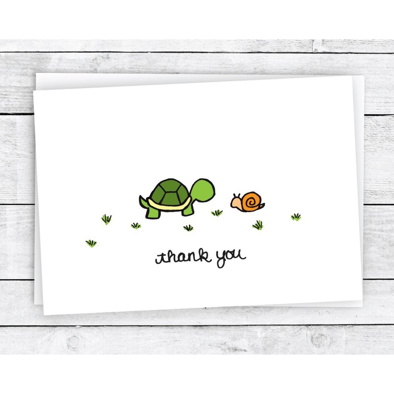 Summer Collection Thank You Cards - 24 Cards & Envelopes