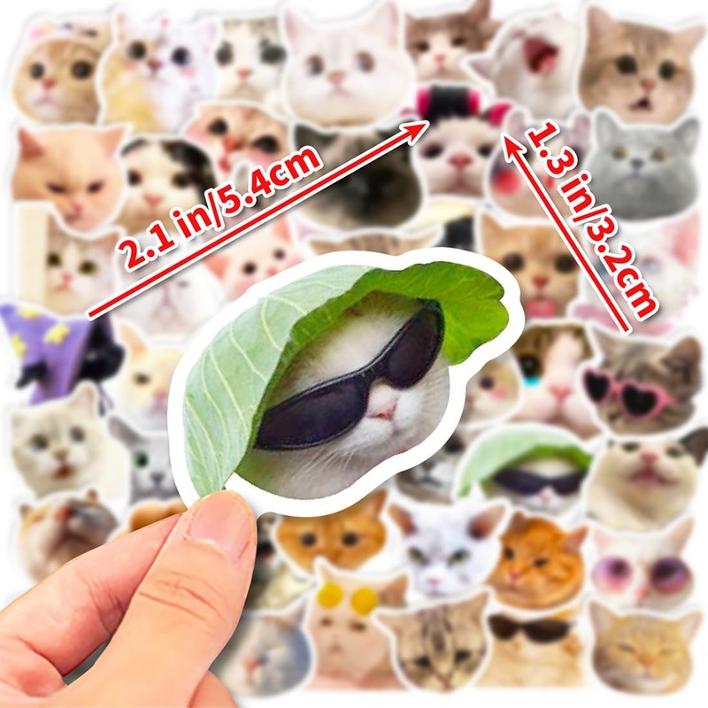 100 Pieces Funny Funny Cat Stickers Set, Cute Cat Stickers,