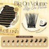 LASHVIEW Lash-Extension-Clusters, Volume Lash Clusters 9-18mm mix Fluffy Lash Extension