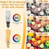 BLINGCOLOR Dimmable E12 LED Edison Candelabra Bulbs 40 Watt Equivalent,