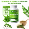 Moringa Oleifera Capsules – 10,000mg Strength, 150 Count, 100% Pure