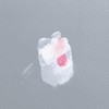 DAP DryDex Dry Time Indicator Spackling, Pink/White, 5.5 Oz (7079812337)