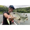 Shimano ZR-P69U 004 Bantam World Pop 69F Flash Boost Bass