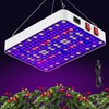 LED Grow Lights for Seed Starting Vegetables Bloom, UV-IR Included
