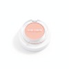 The Saem 아이돌 치크 더샘 젤리 블러셔 8colors PP03 더스티바인