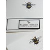 Wagtail Designs Writing Paper Gift Set with a Bumble Bee