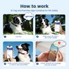 PawView Leather Padded Dog Collar & Smart AirTag Holder- Soft