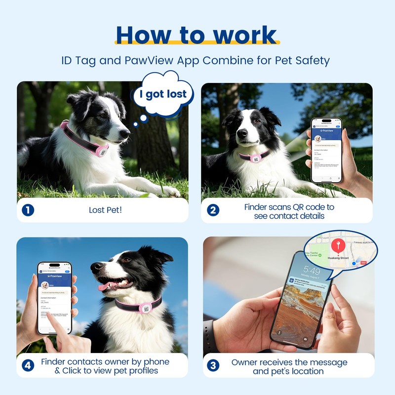 PawView Leather Padded Dog Collar & Smart AirTag Holder- Soft