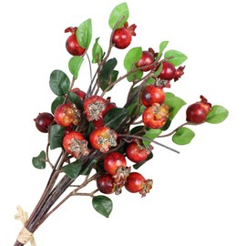 HEALLILY Group of 5 Pomegranate Berries Bouquet Floral Artificial Flowers Pomegranate Berries Branches Artificial Rosehip Berries Simulation Pomegranate Fruit Floral Decor
