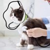 YUEMING Collar Dog Leak Protection, Soft Protective Collar, Adjustable Recovery