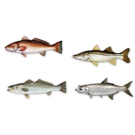 Salty Bones Florida Inshore Super Grand Slam - Tarpon, Speckled Trout, Snook and Redfish - Profile Sticker Collection - Made in The USA