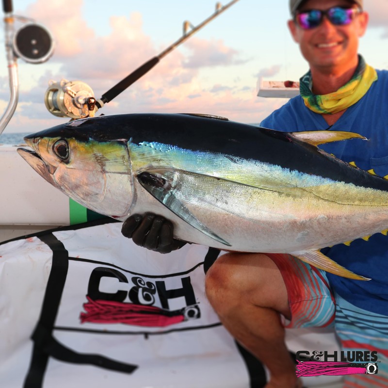 C&H Lures Lil Stubby Chugger Lure, Blue/White, 5.5 in