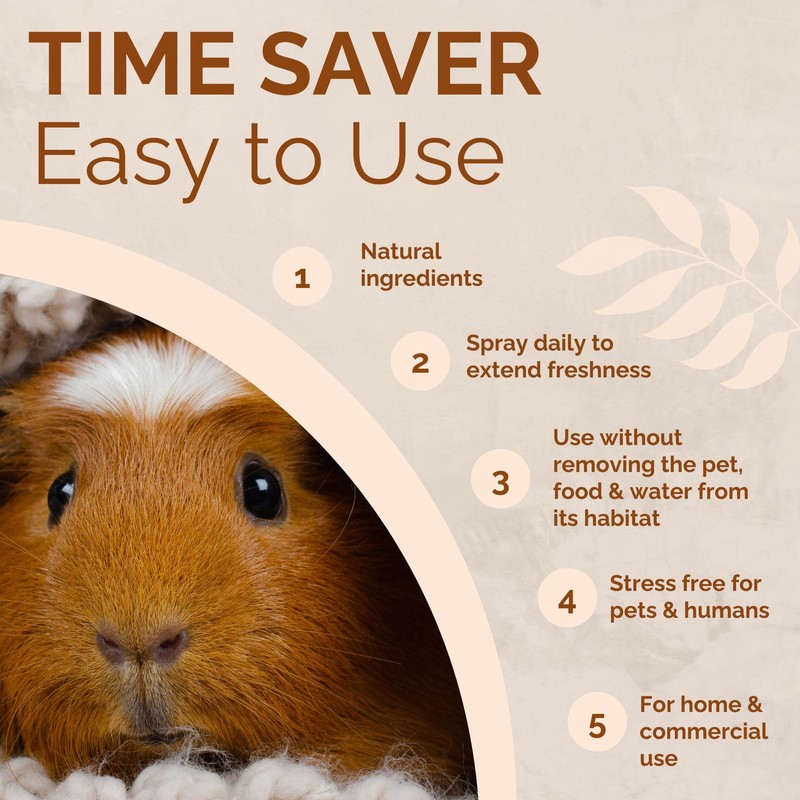 No Scent Small Animal Guinea Pig Cage Cleaner | Hamster