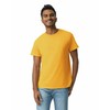 Gildan Adult Ultra Cotton T-Shirt, Style G2000, Multipack, Gold (12-Pack),