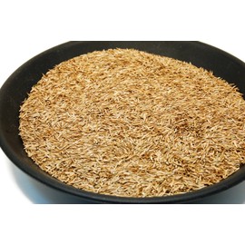 Kentucky 31 K31 Tall Fescue Grass Seed by Eretz - CHOOSE SIZE! State Certified, No fillers, No Weed or Other Crop Seeds (3lbs)