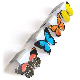Paper House Productions Cliplets Set of 4 1" Magnetic Die-Cut Page-Top Bookmarks - Butterflies