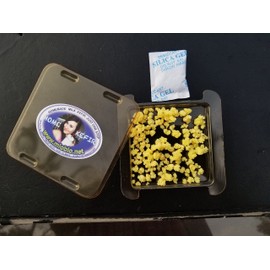 Microbiota, Inc. Fresh Dry Milk Kefir Grains