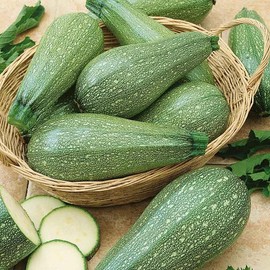 Eden Brothers Squash (Summer) Seeds - Grey Zucchini Non-GMO Seeds for Planting, 1 oz | Low-Maintenance Vegetable Seeds, Plant During Warm Season, Zones 10, 3, 4, 5, 6, 7, 8, 9