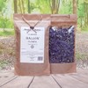 Health Embassy Common Mallow Flower Tea | Malva Sylvestris L