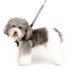 Zunea Dog Harness Small Dogs Puppies Adjustable with Lead, Checked