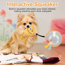 lilfrd Dog Toys for Small Dogs - 2 Pack Squeaky Rope Plush Dog Toys for Small and Medium Breed, Puppy Toys to Keep Them Busy