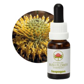 Isopogon 15 ml Stockbottle Australian Bush Flower Essences