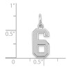 Unbranded 14K White Gold Small Satin Number 6 Charm