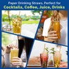 250 Paper Straws Cardboard Brown Kraft in Box Recycle Biodegradable