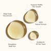 Rosemary Hair Oil Co. Castor Oil & Camellia Renewal 100ml