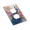 HLCoChTDecorative Art Light Switch Covers Peacock Amidst a Blush of