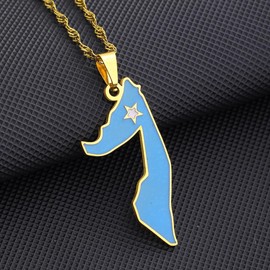 LUTAKU Somali Map and Flag Necklace for Women Men, Somali Necklace Pendant Charm, Stainless Steel Map Jewelry Accessories (gold)