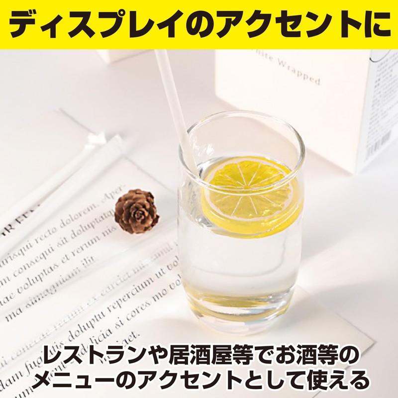 HAMILO Food Sample, Fruit, Lemon, Cut Round, Display, Set of