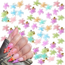 3D Flower Nail Charms, 100 Pcs Colorful Summer Hibiscus Hawaii Flower Nail Rhinestones Gems Clear Resin Lily Floral Nail Art Studs for Manicure Designs DIY Crafts Scrapbooking (Multi-Colored D)
