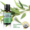 DR. LIFT Organic Eucalyptus Essential Oil, 1 oz - Made