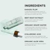 IMAGE Skincare ORMEDIC Balancing Antioxidant Serum 1oz.
