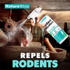 NatureStop Rodent Repellent Spray – Helps Deter Mice & Rats