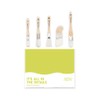 5-Piece Detail Paint Brush Set with Assorted Paint Brushes for