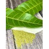 Undisclosed Mango Leaf Tea by Palm Beach Herbals | 30ct,
