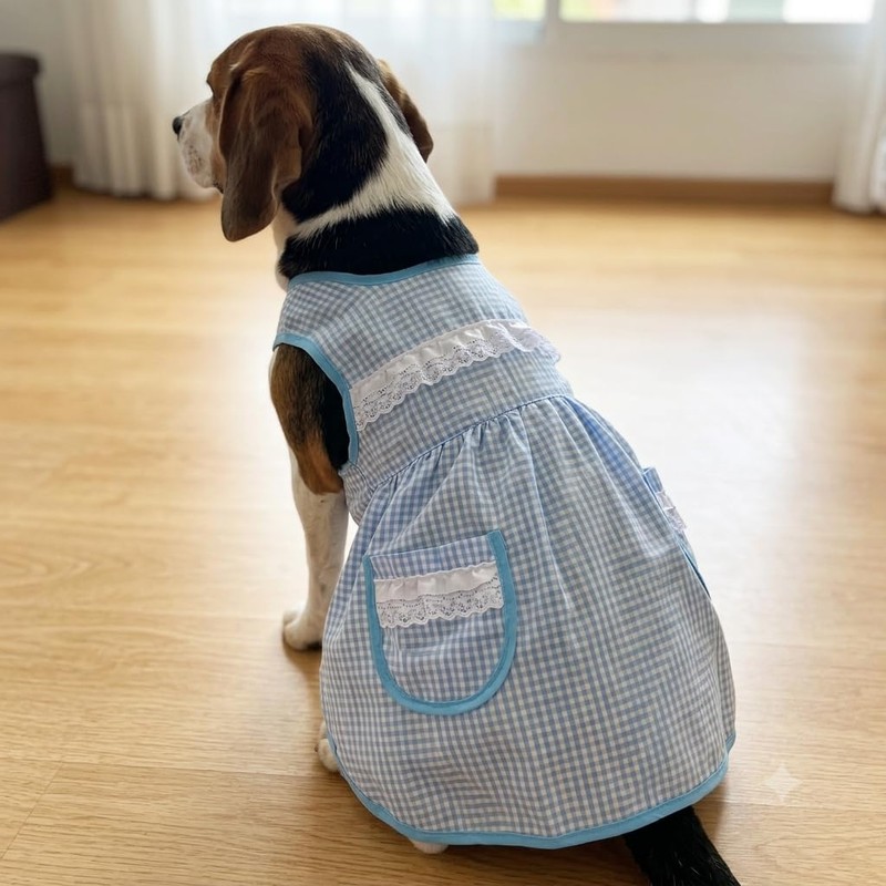 Genérico Mandil para Perro Estilo Doñita con Encaje y Bolsillos
