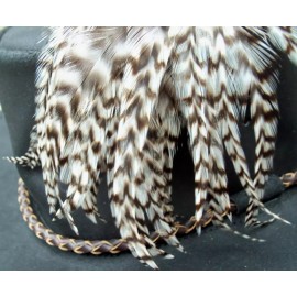 Premium Quality Natural Black & White Grizzly Rooster Saddle Hackle Feathers - 12 3-5 inches
