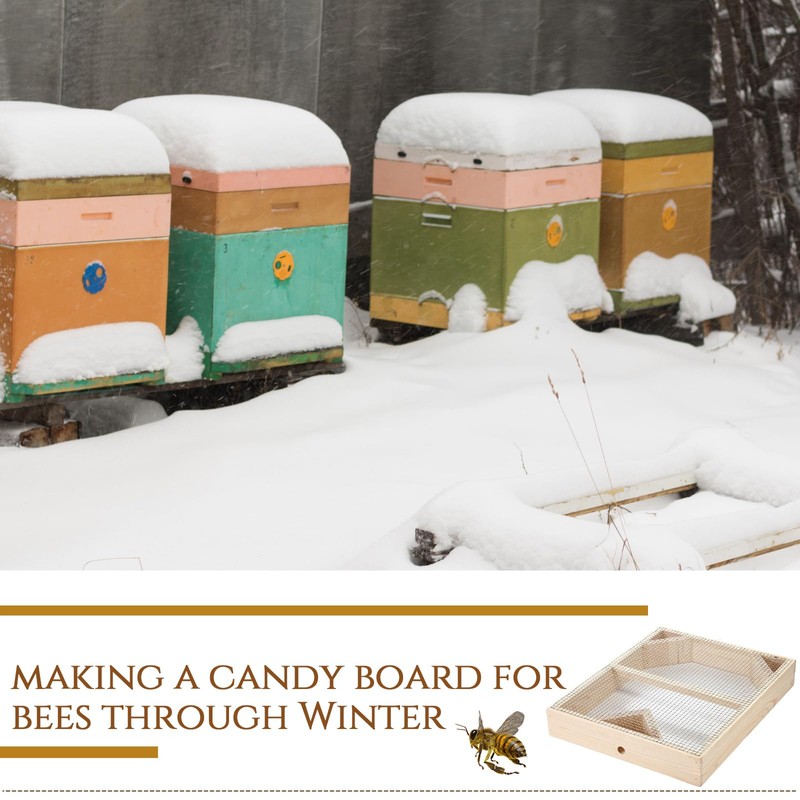 Cinnvoice 2 Pack Beehive Candy Board 10 Frame, Bee Candy