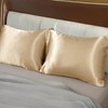 Moonlight Bedding Satin Pillowcases 2 Pack - Champagne Silk Pillowcase