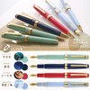 Sailor Professional Gear Slim Shikiori Grateful Crane Fountain Pen