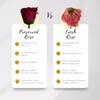 Eternal Blossom Preserved Real Infinity Rose | Eternal Rose That